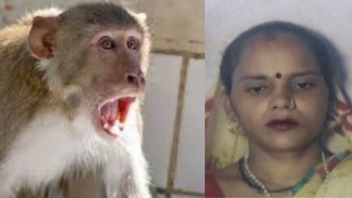 News Article Hero Image